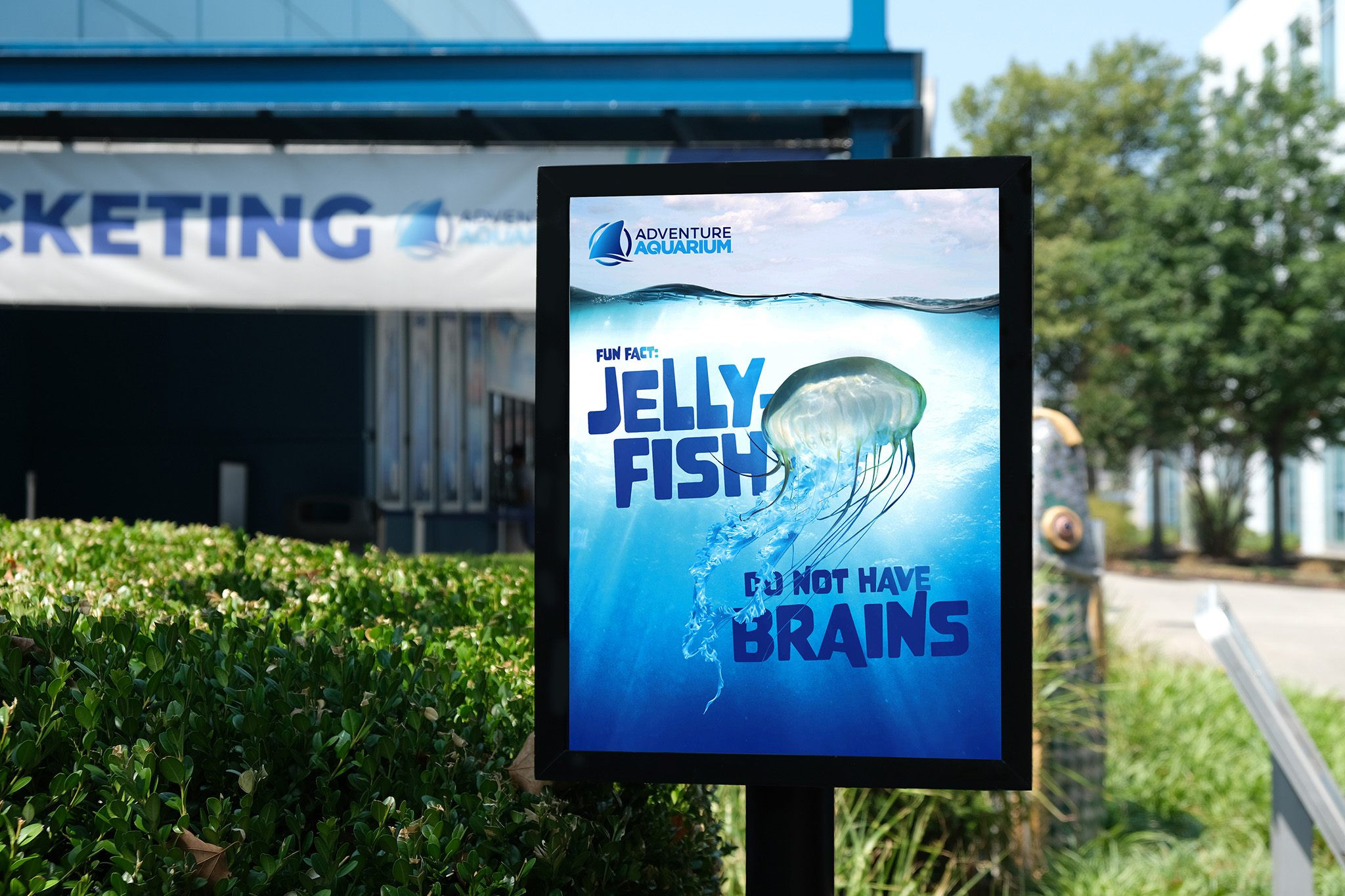 Adventure Aquarium sign