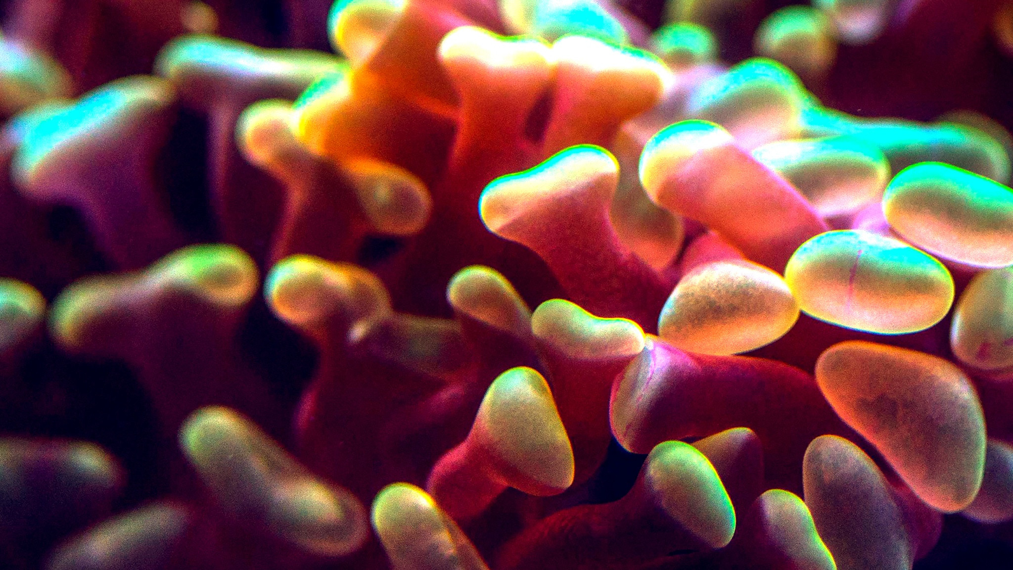 Danaher Life Sciences