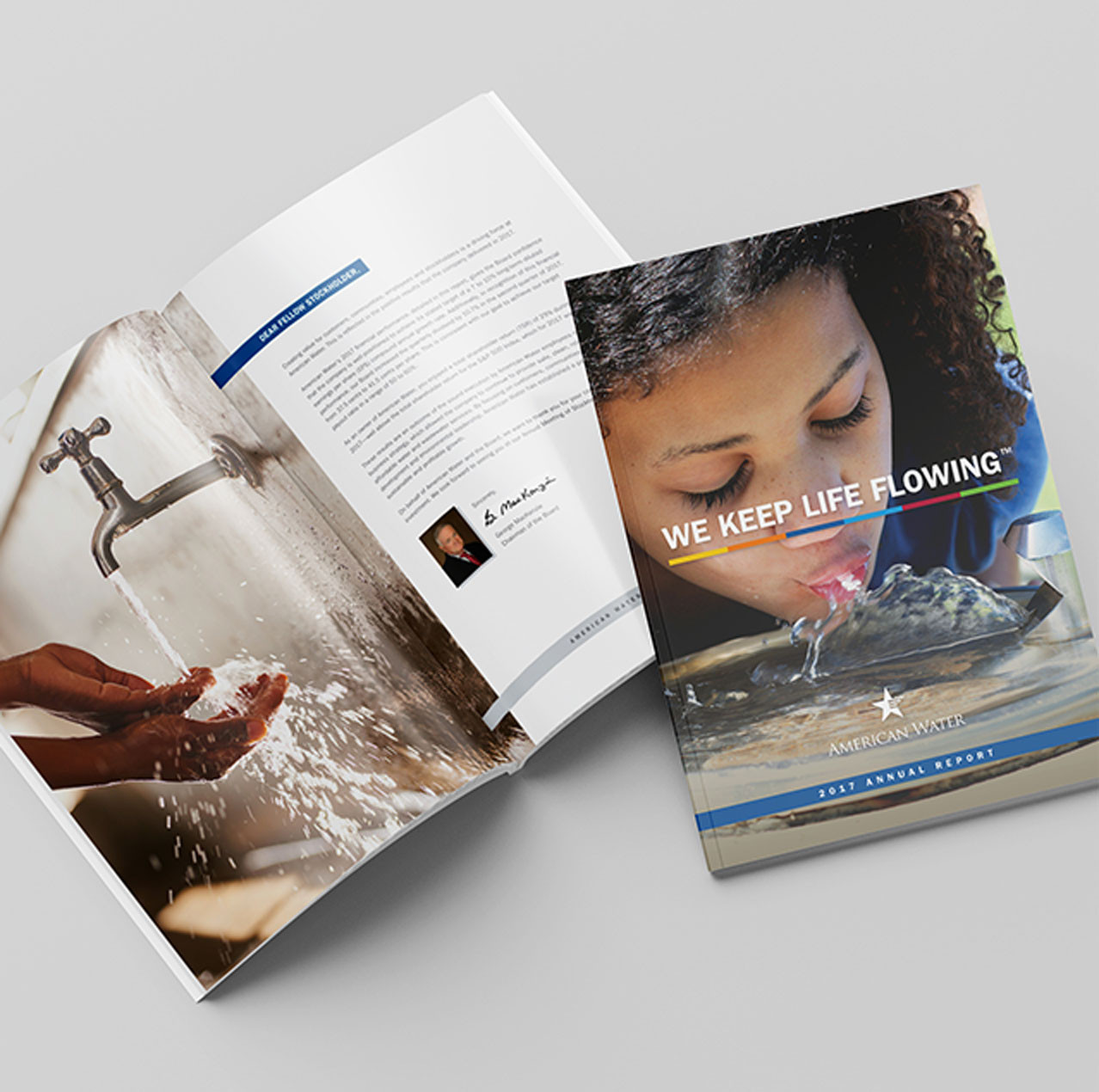 American Water annual report